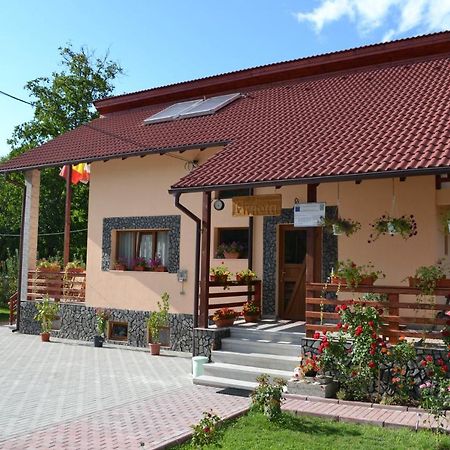 Arnota Villa Costesti  Exterior foto