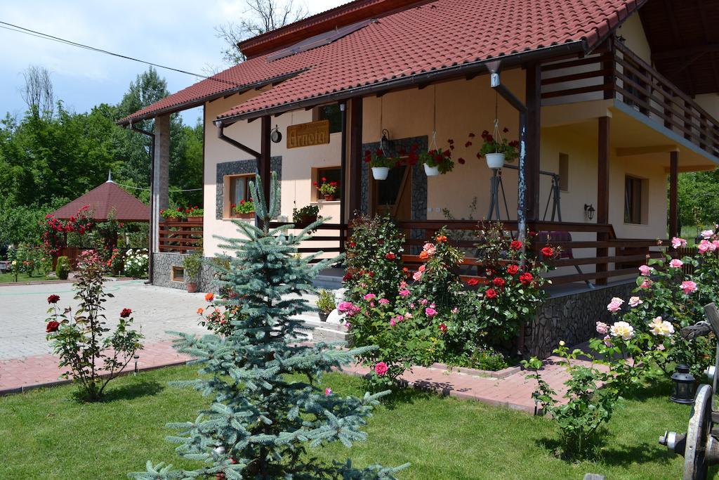 Arnota Villa Costesti  Exterior foto