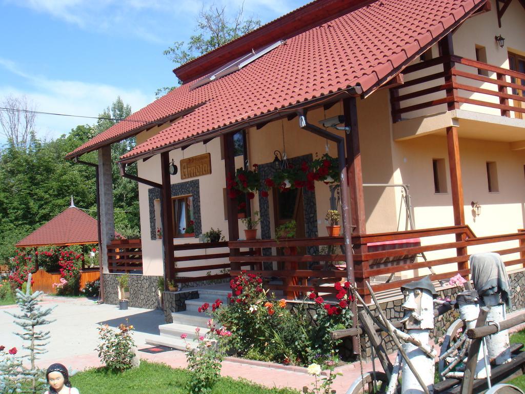 Arnota Villa Costesti  Exterior foto